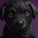 Masterizando o “Low Key” no Midjourney: Como Criar Imagens Dramáticas e Texturizadas com Prompts Simples